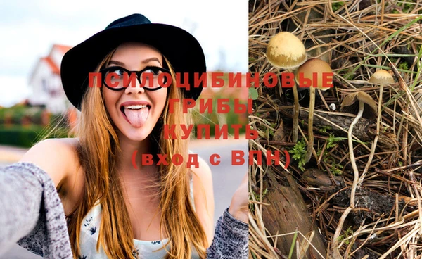 марки nbome Армянск