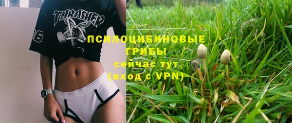 трава Арсеньев