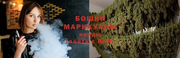 трава Арсеньев