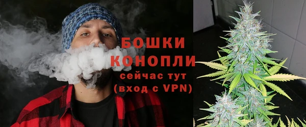 молекула духа Саки
