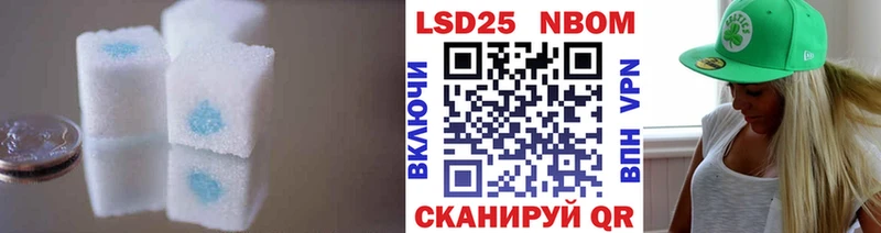 как найти закладки  Шатура  Лсд 25 экстази кислота 