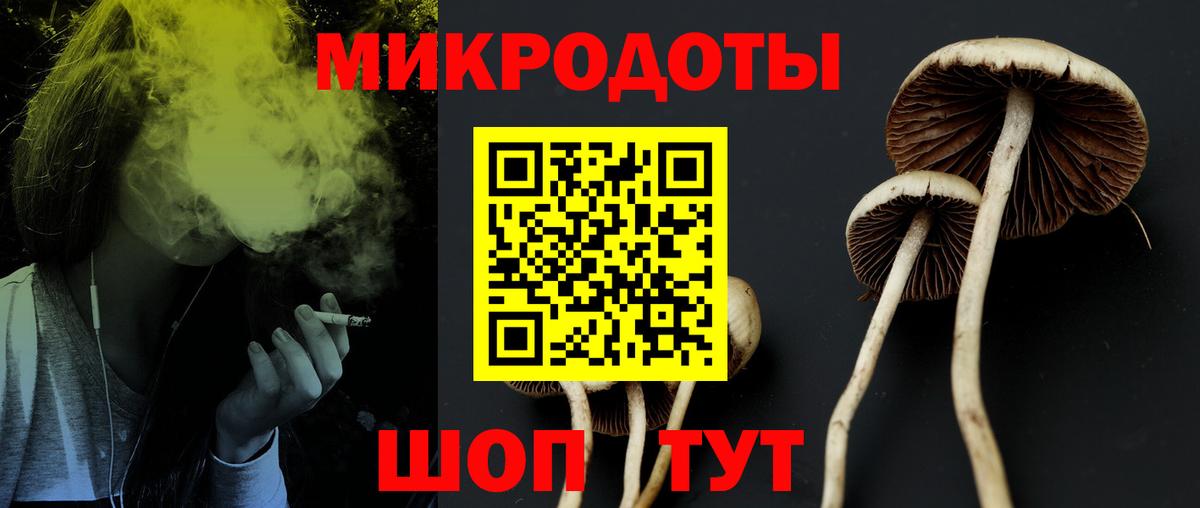 Шатура  Псилоцибиновые грибы MAGIC MUSHROOMS  Вход с VPN  Псилоцибиновые грибы Psilocybine cubensis 